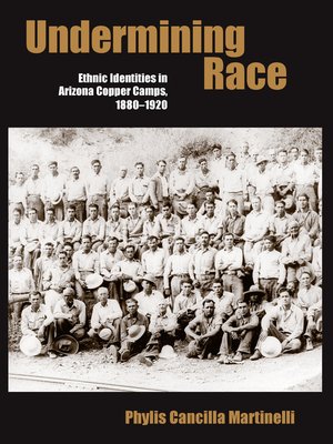 cover image of Undermining Race
